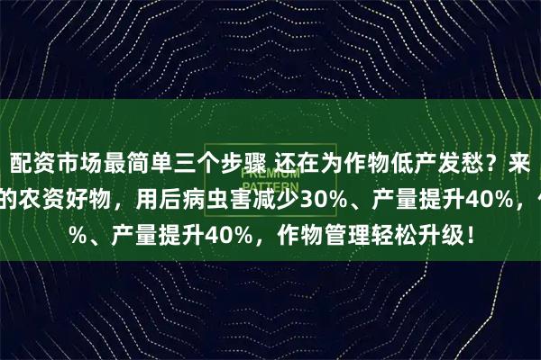 配资市场最简单三个步骤 还在为作物低产发愁？来看内行农友都在用的农资好物，用后病虫害减少30%、产量提升40%，作物管理轻松升级！